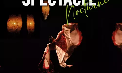SPECTACLE NOCTURNE
